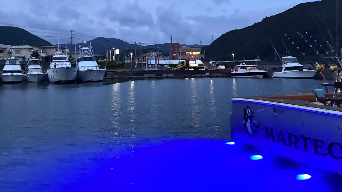 マリーナの夜景